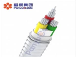 廣州番禺電纜：引領(lǐng)電纜選擇新標(biāo)準(zhǔn)